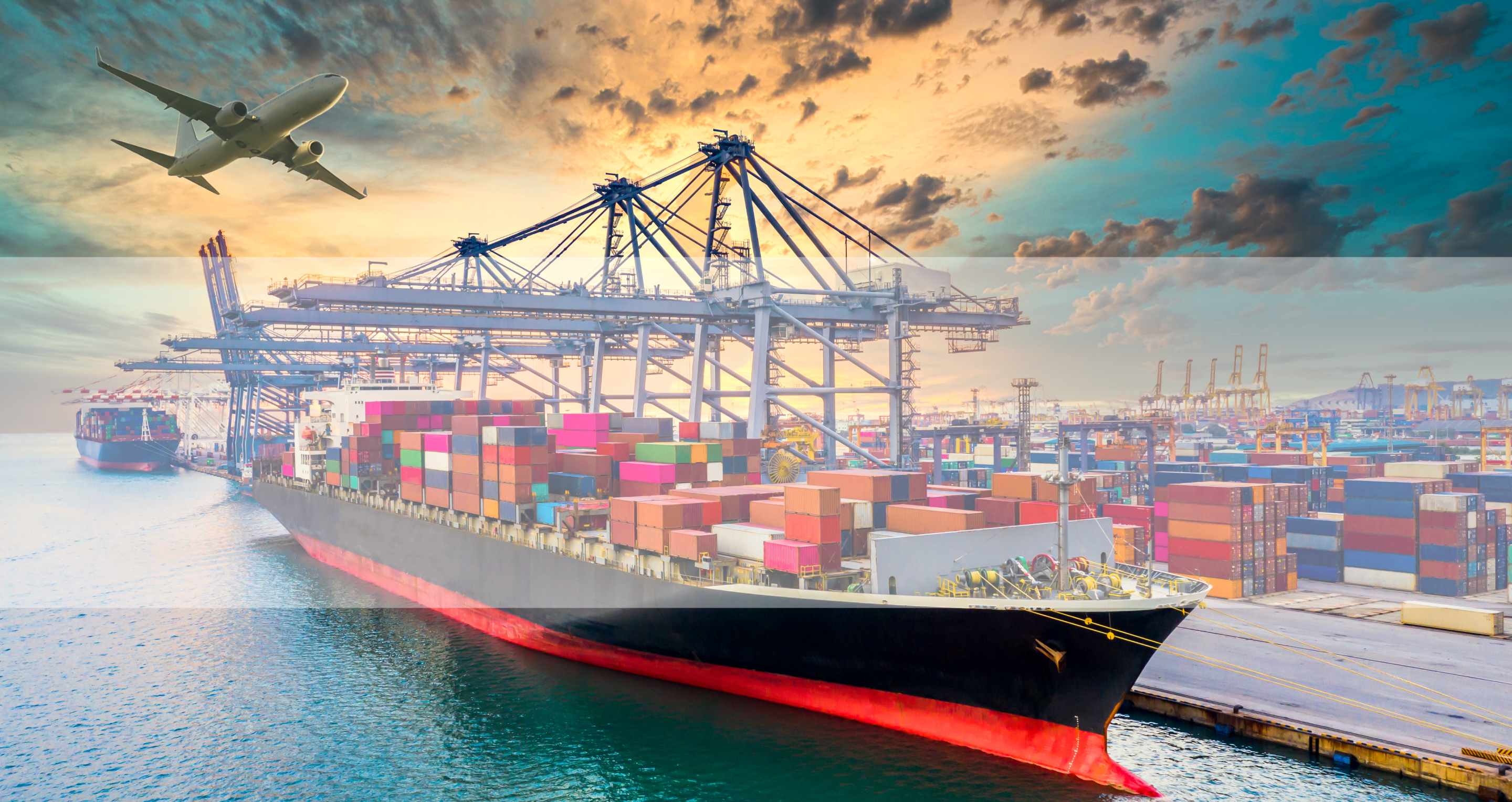 株式会社伊崎国際貿易グループ