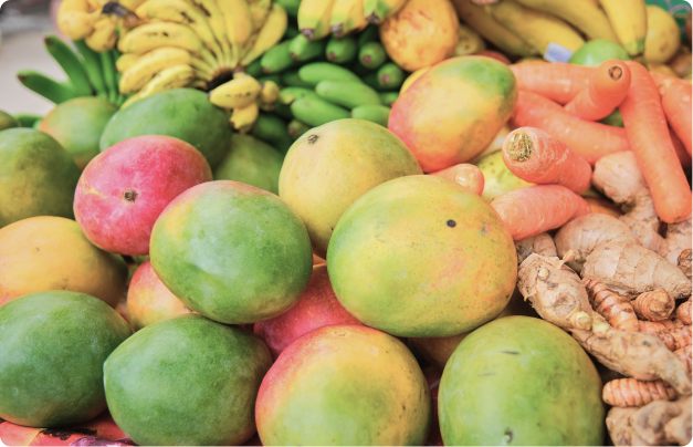 東南アジア産熱帯果実事業の拡大および供給体制強化について