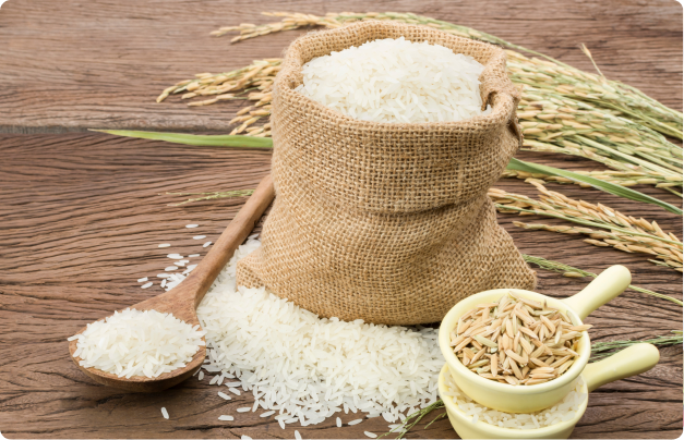 タイ産ジャスミンライス取扱強化ならびに協業体制構築のお知らせ