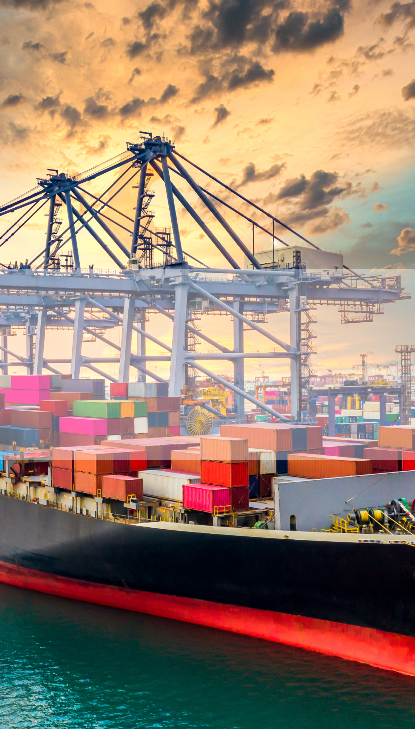 株式会社伊崎国際貿易グループ